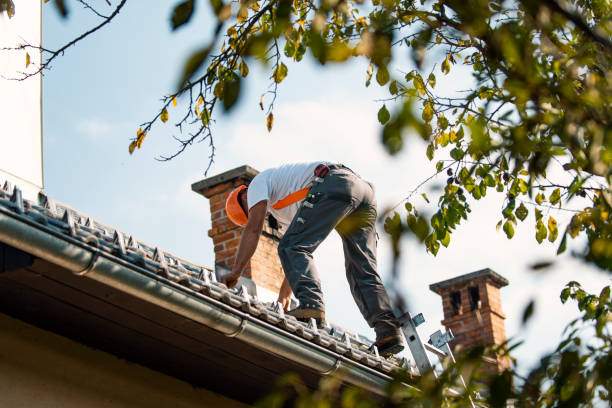 Professional Roofing Contractor in Dash Point, WA
